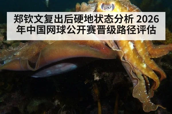 郑钦文复出后硬地状态分析 2026年中国网球公开赛晋级路径评估